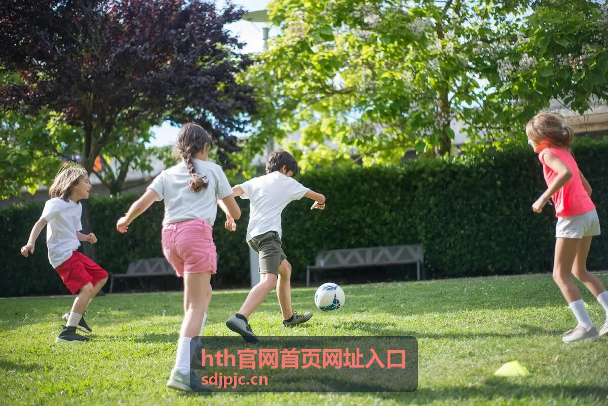 hth官网首页网址入口 片库精选封面